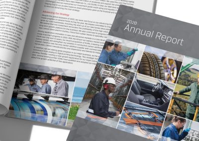 Corporate annual report