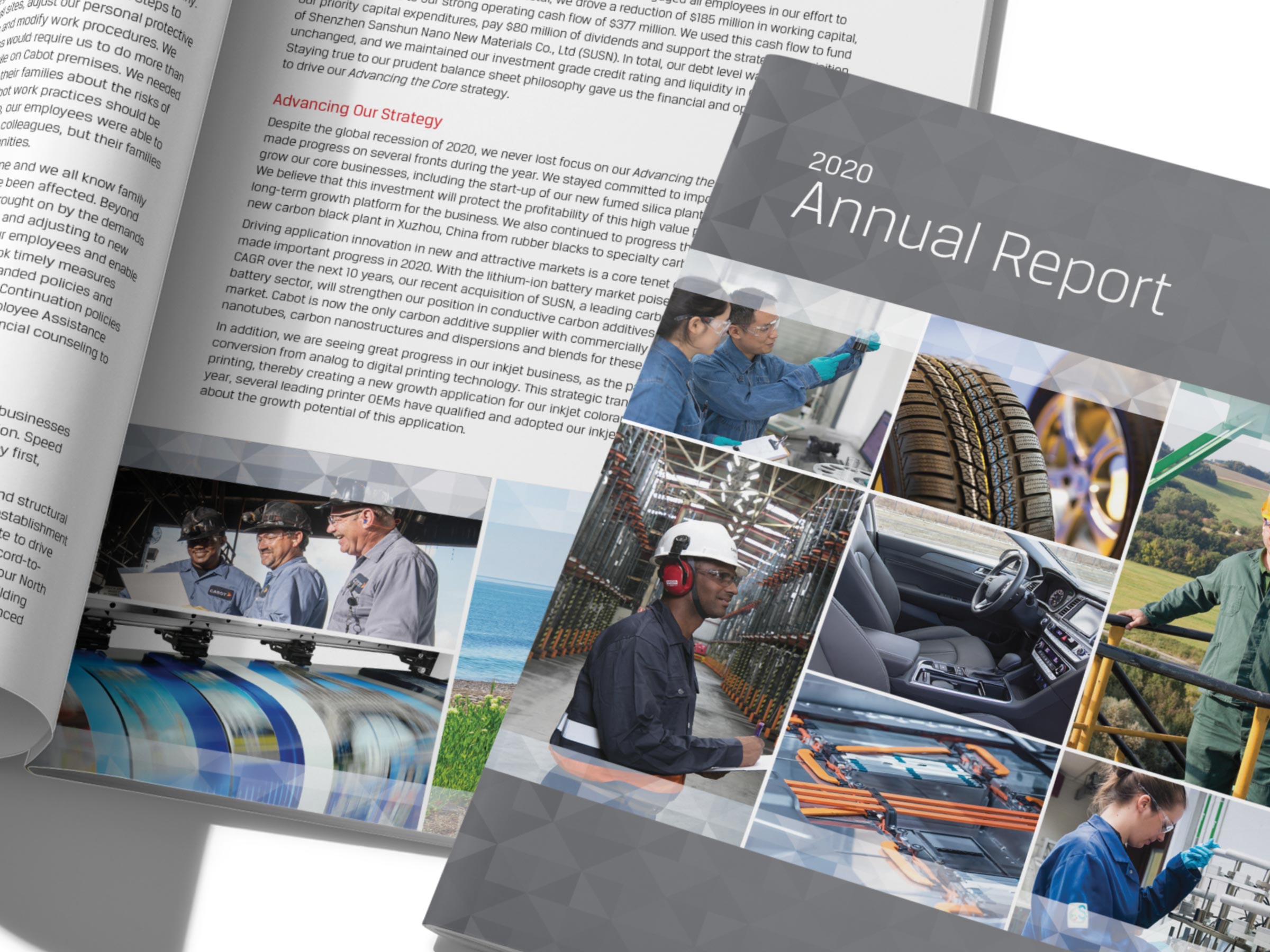 Corporate annual report
