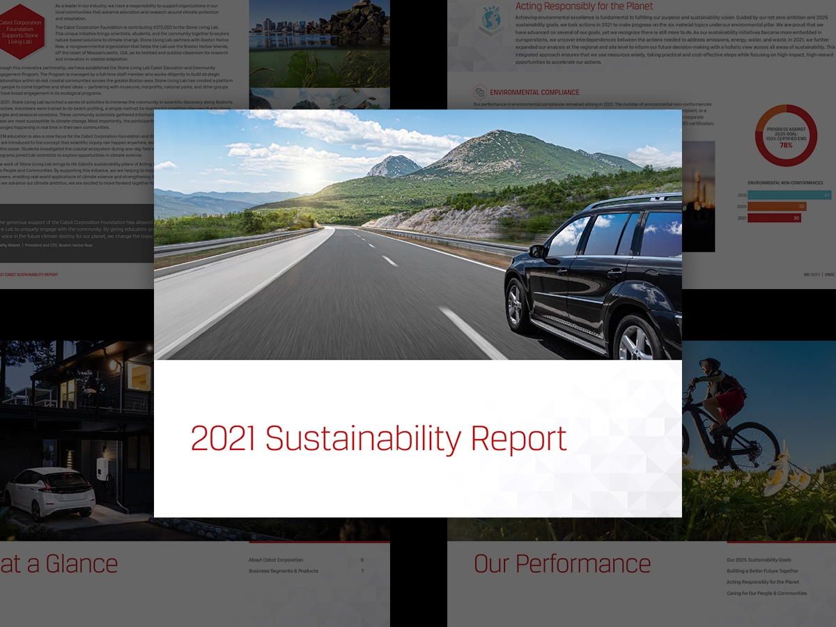 Global sustainability report