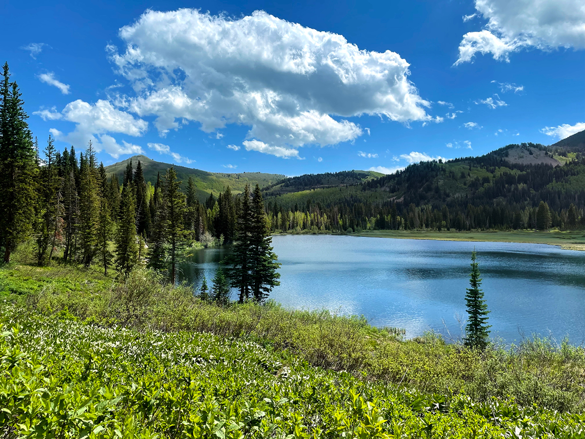 August Calendar - Silver Lake