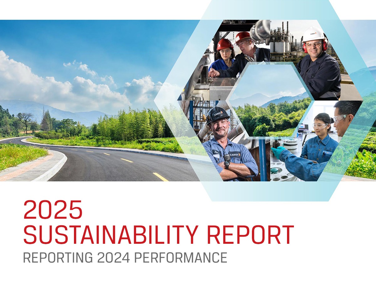 Global Sustainability Report for Industry Leader